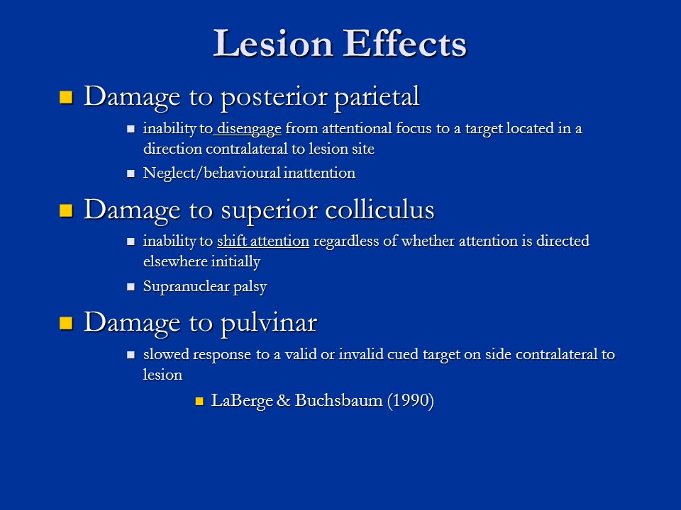 Lesion Effects Damage to posterior parietal