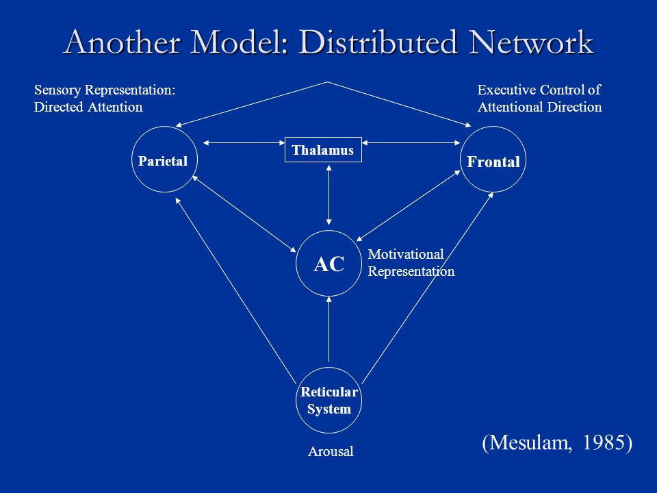 Another Model: Distributed Network