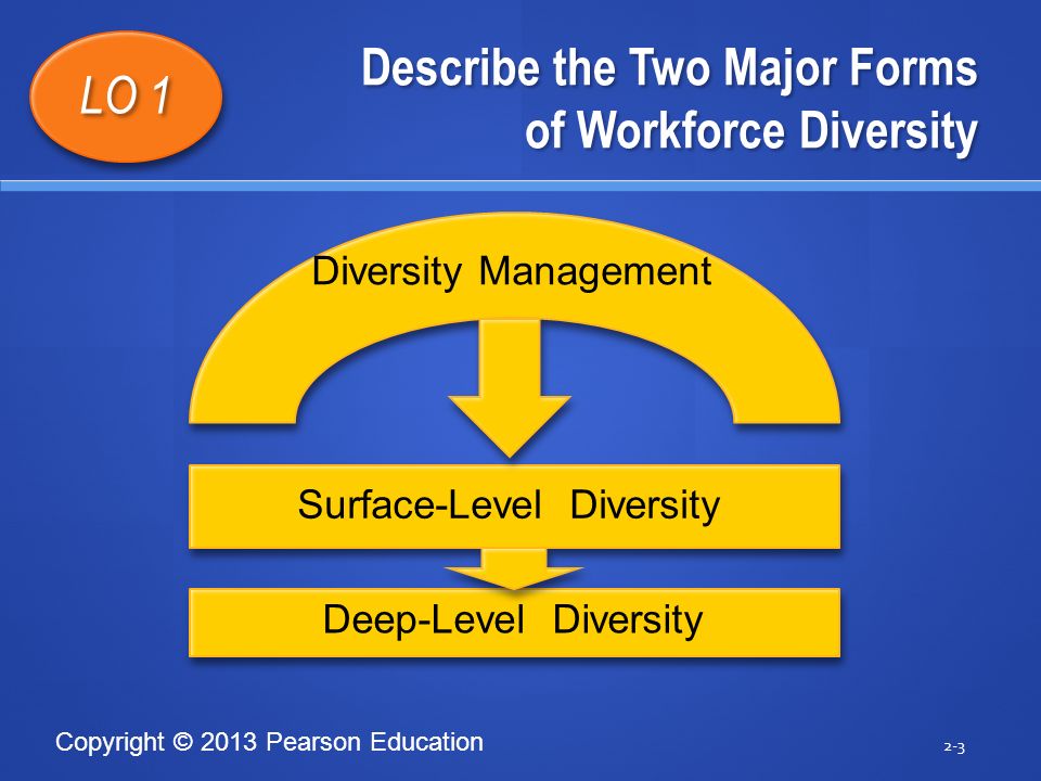 Two major. Surface Level diversity. Diversity in Organizations.