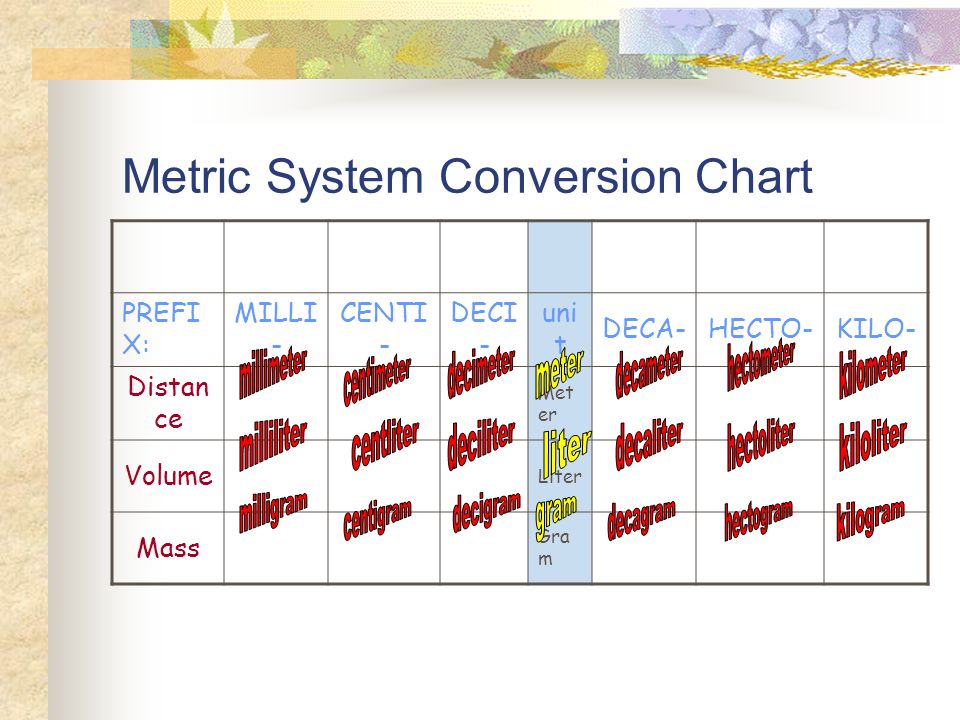 Metric Meter Conversion Chart
