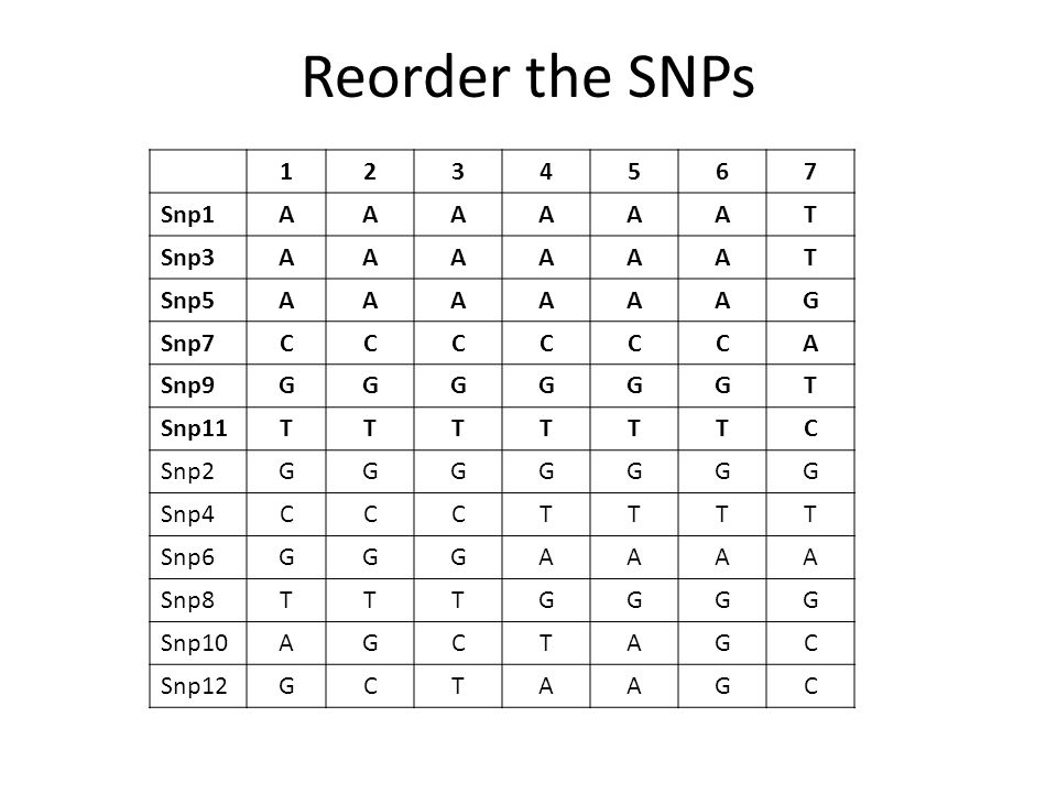 Reorder the SNPs Snp1 A T Snp3 Snp5 G Snp7 C Snp9 Snp11