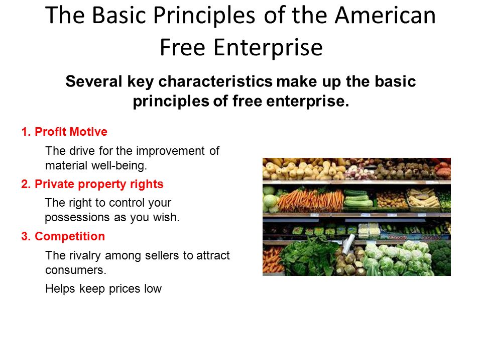 The Basic Principles of the American Free Enterprise