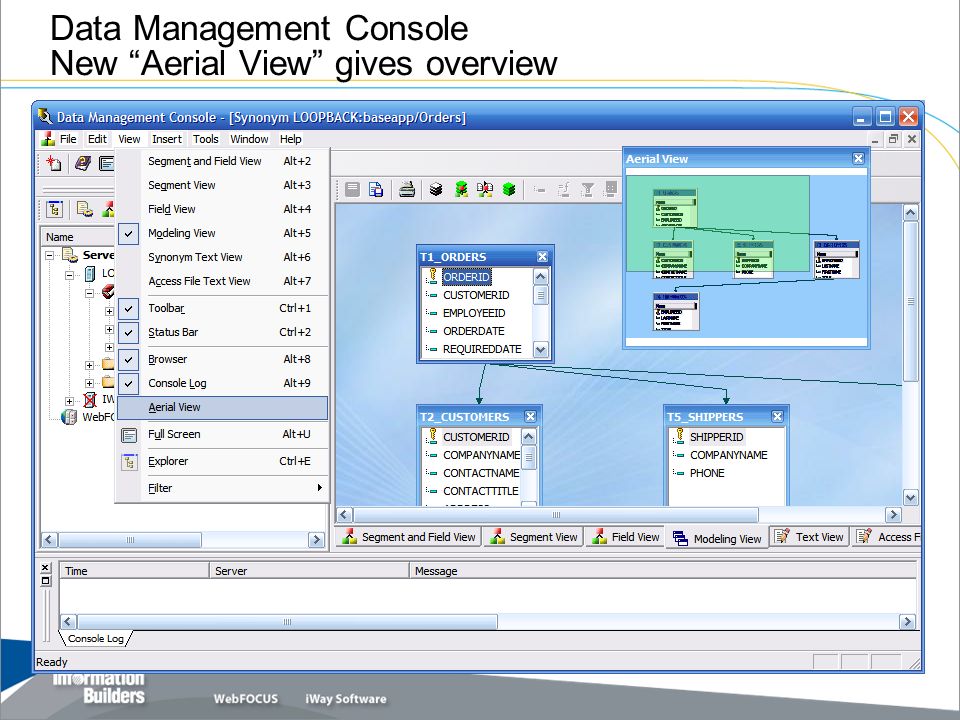 Data Management Console Synonym Editor - ppt video online download