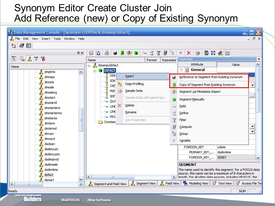 Data Management Console Synonym Editor - ppt video online download