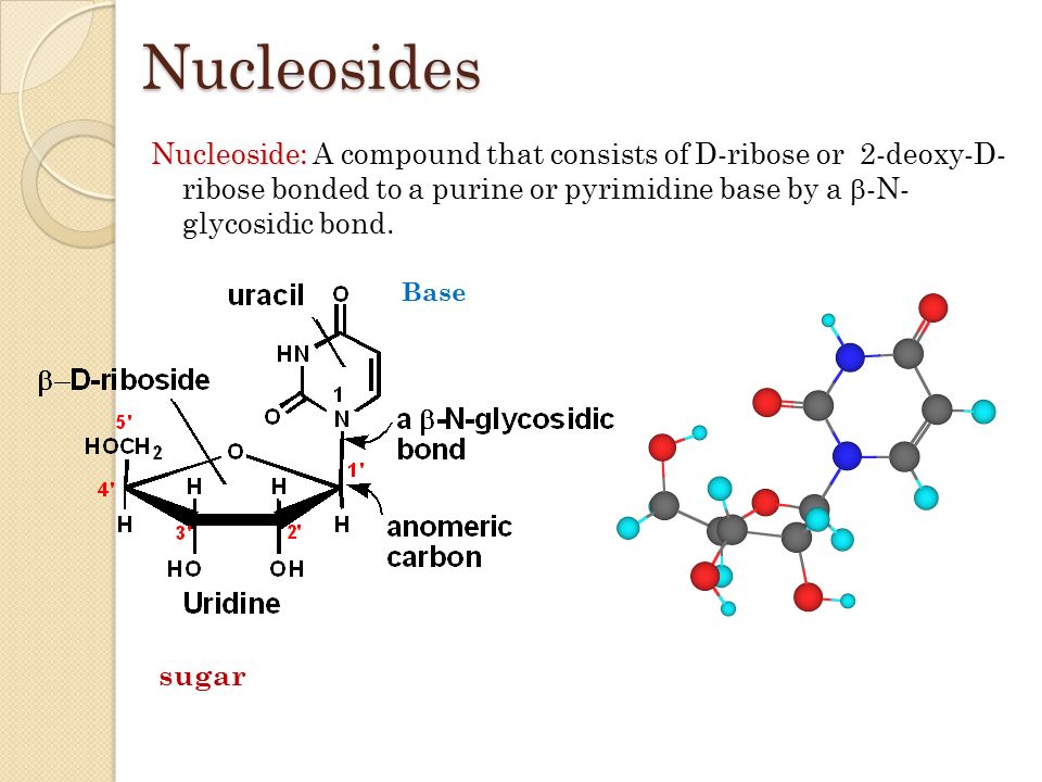 Nucleoside: A compound that consists of D-ribose or 2-deoxy-D- ribose bon.....