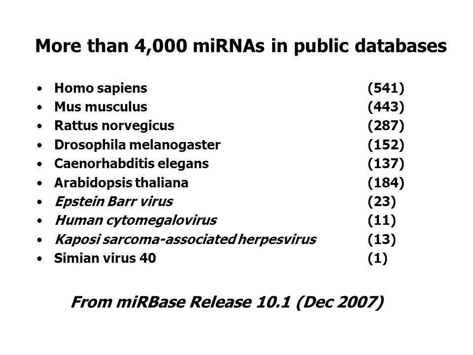 More than 4,000 miRNAs in public databases