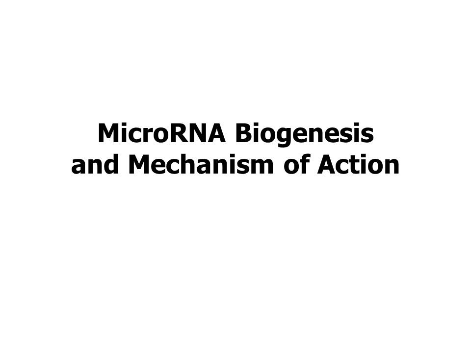 MicroRNA Biogenesis and Mechanism of Action