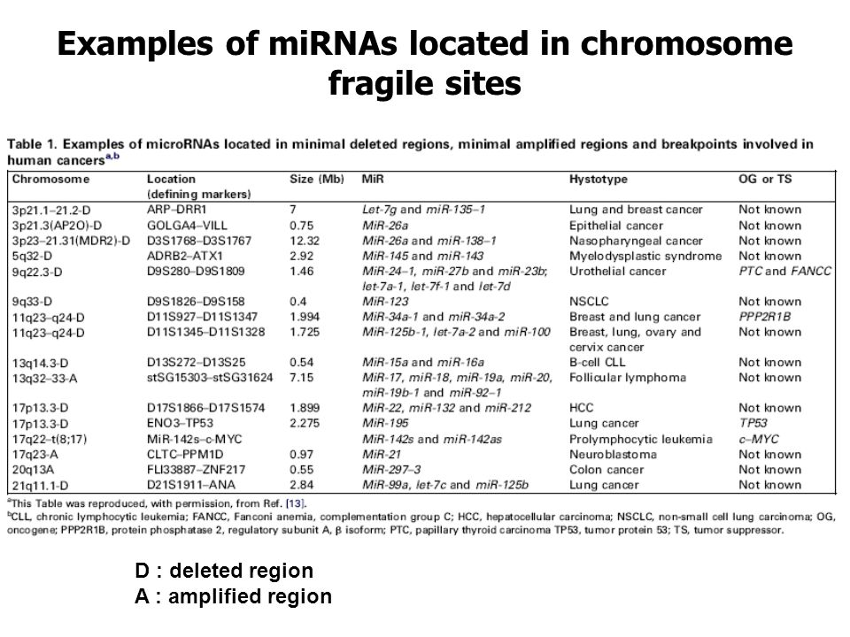Examples of miRNAs located in chromosome fragile sites