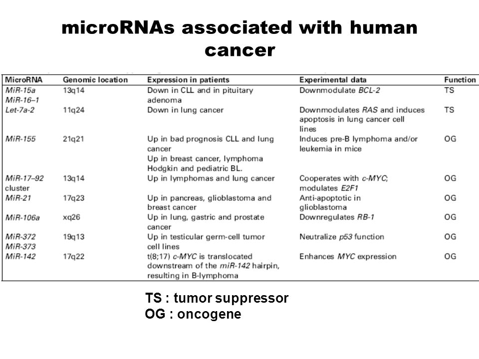 microRNAs associated with human cancer