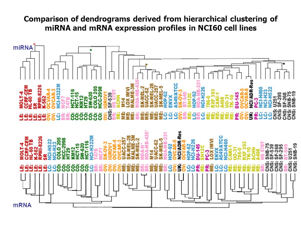 Comparison of dendrograms derived from hierarchical clustering of miRNA and mRNA expression profiles in NCI60 cell lines