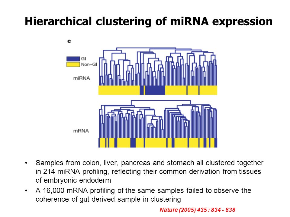 Hierarchical clustering of miRNA expression