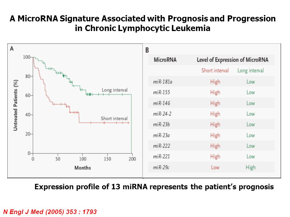 A MicroRNA Signature Associated with Prognosis and Progression in Chronic Lymphocytic Leukemia