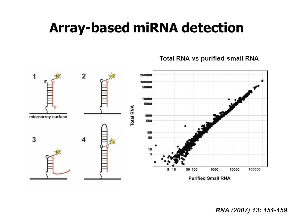 Array-based miRNA detection