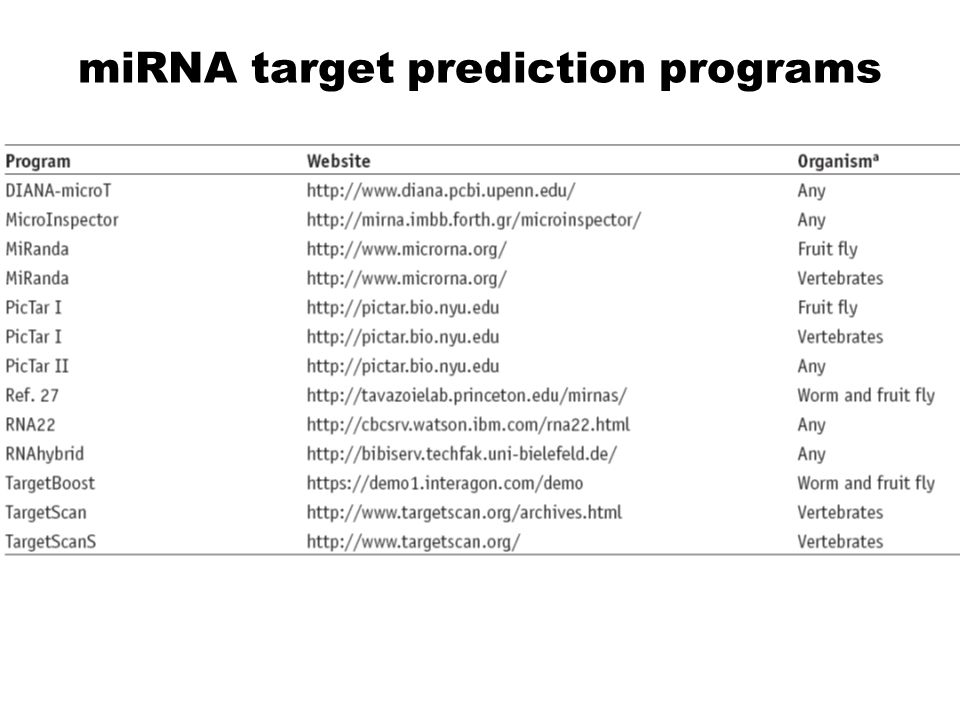 miRNA target prediction programs