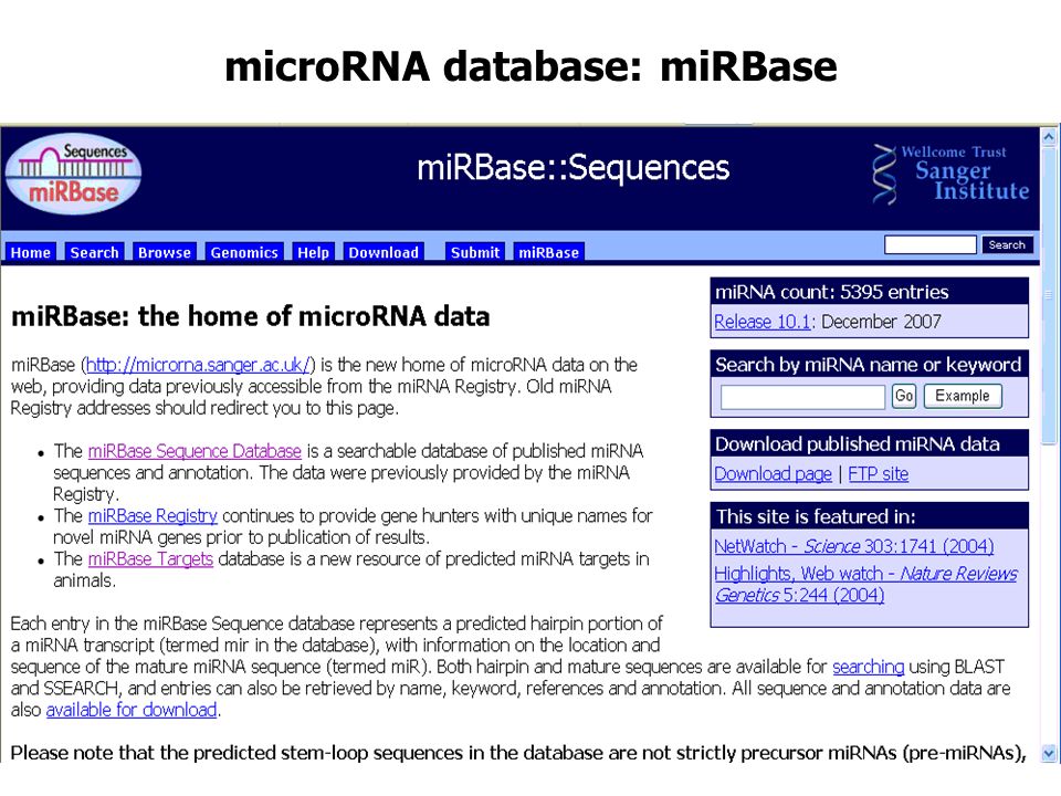 microRNA database: miRBase
