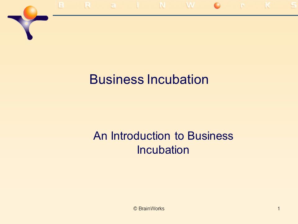 An Introduction to Business Incubation