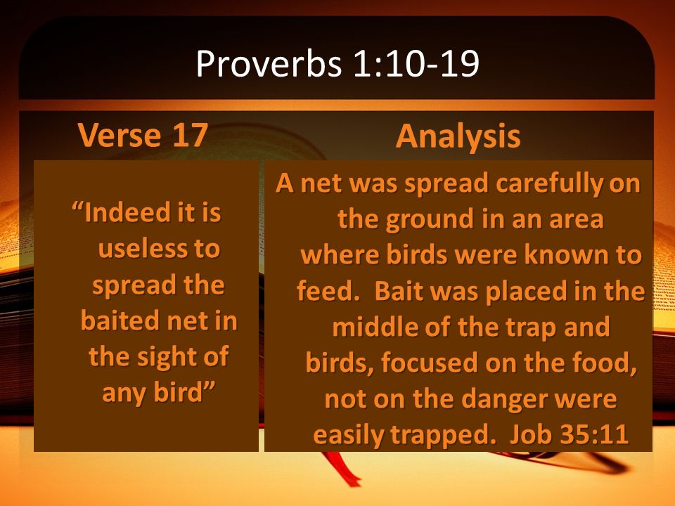 Proverbs 17 Verse 1 Book Review Bysundariyatisoimah