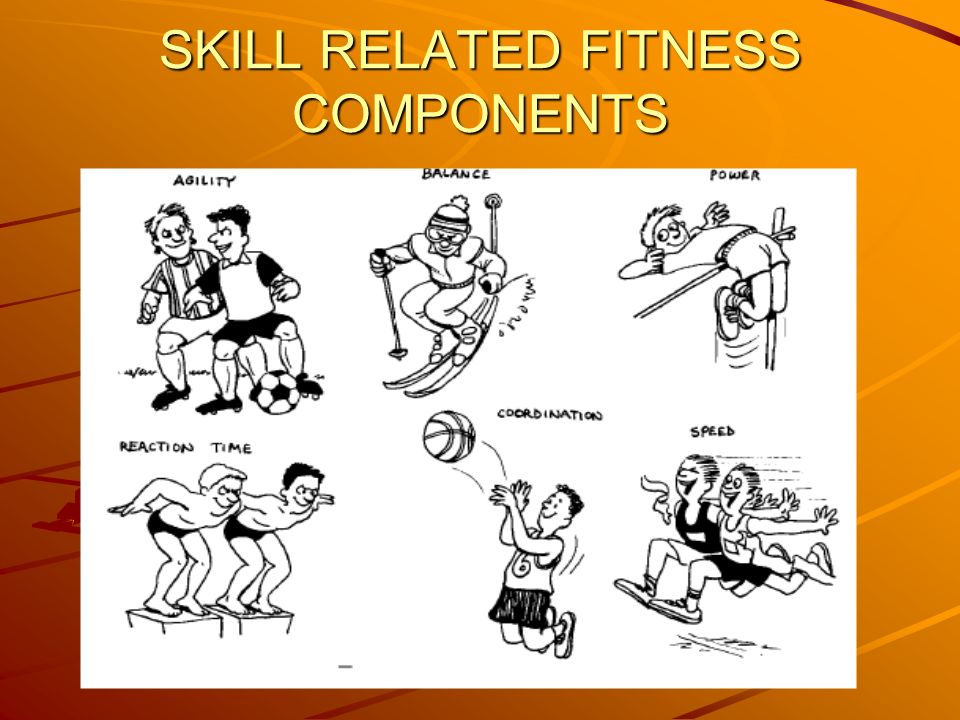 health-related-fitness-components-ppt-video-online-download