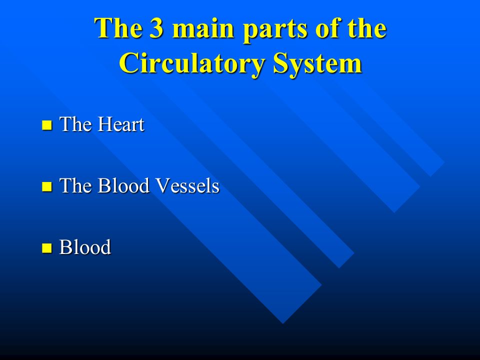 The 3 main parts of the Circulatory System