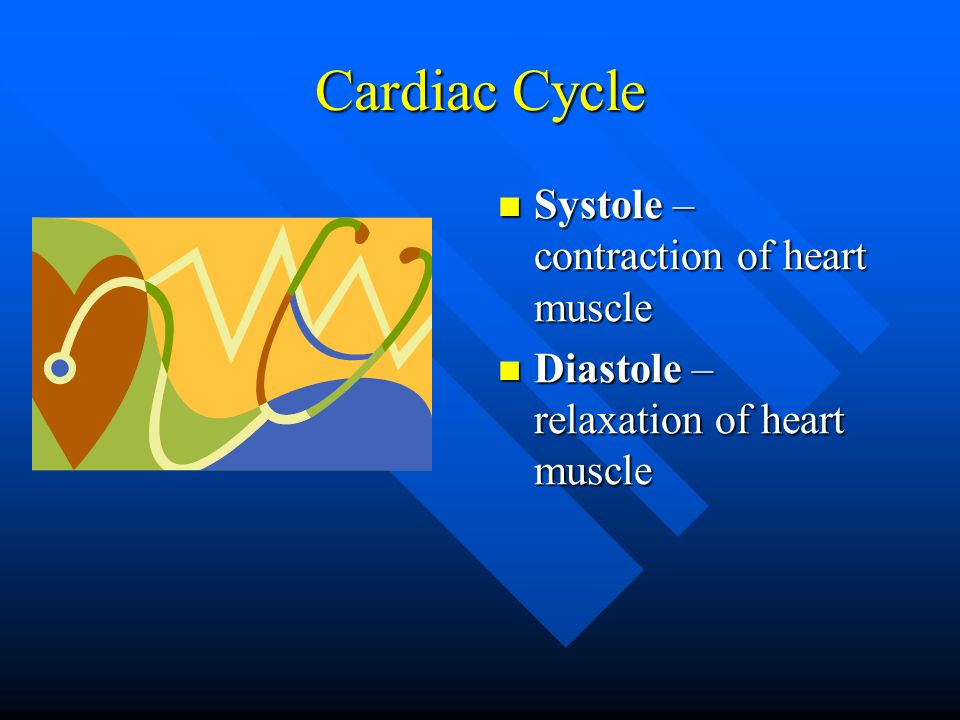 Cardiac Cycle Systole – contraction of heart muscle