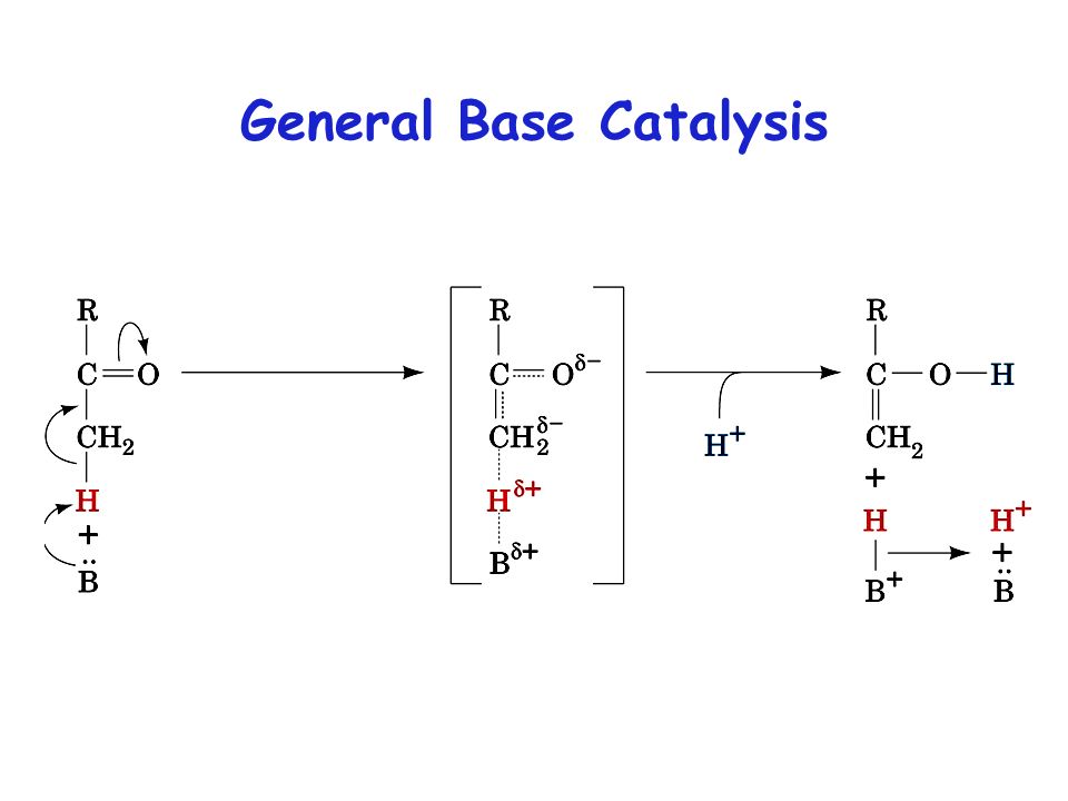Catalytic Mechanisms. - ppt video online download