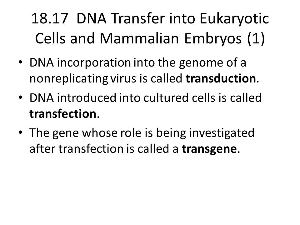 18.17 DNA Transfer into Eukaryotic Cells and Mammalian Embryos (1)
