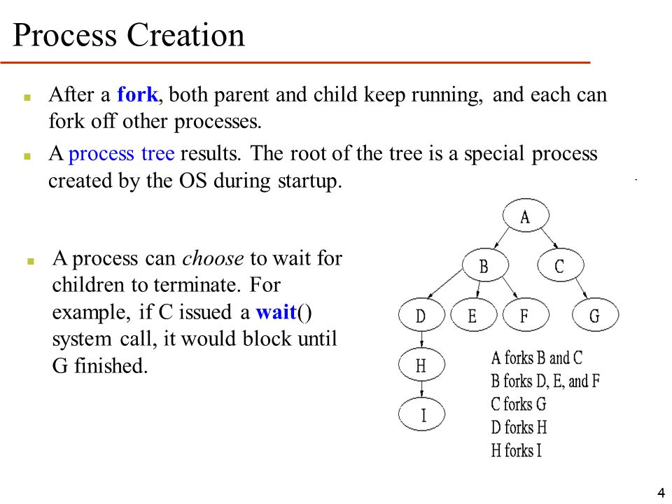 Creating And Executing Processes Ppt Video Online Download