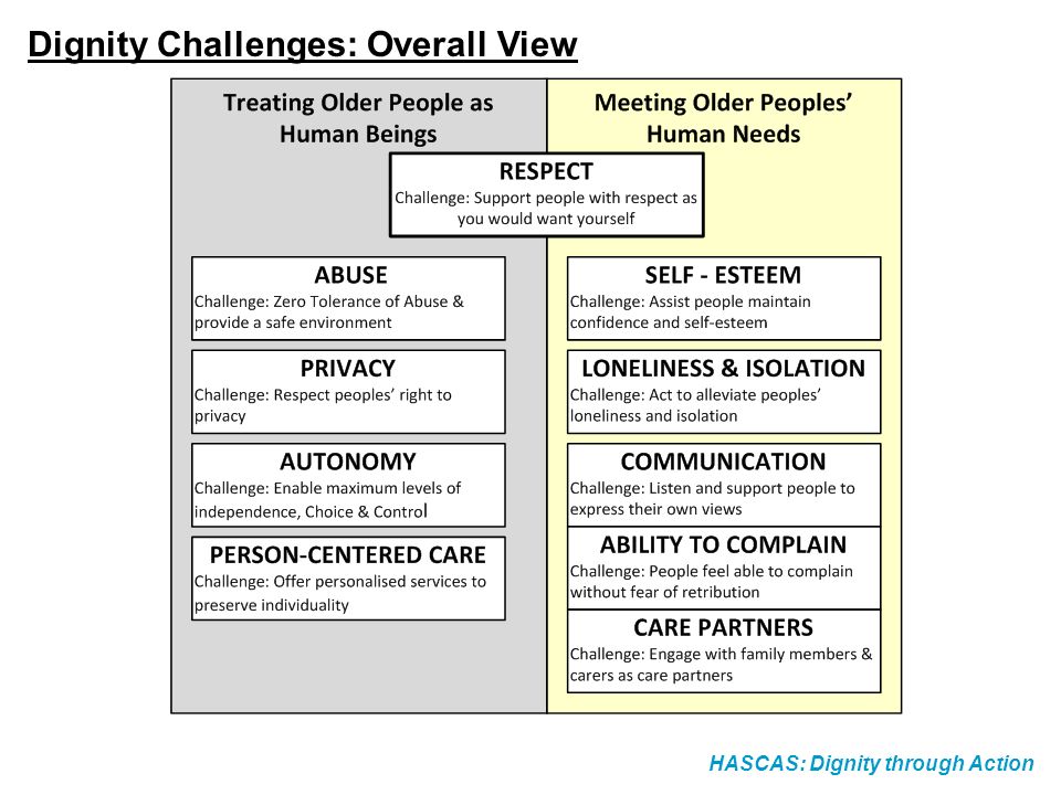 Dignity Challenges: Overall View