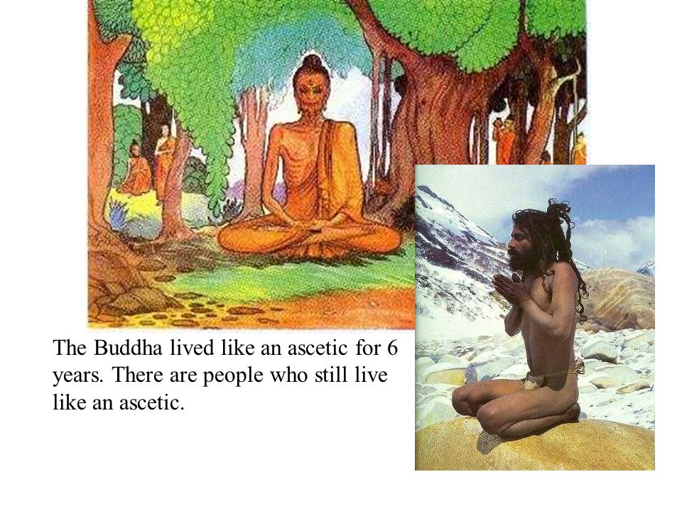 The Buddha lived like an ascetic for 6 years