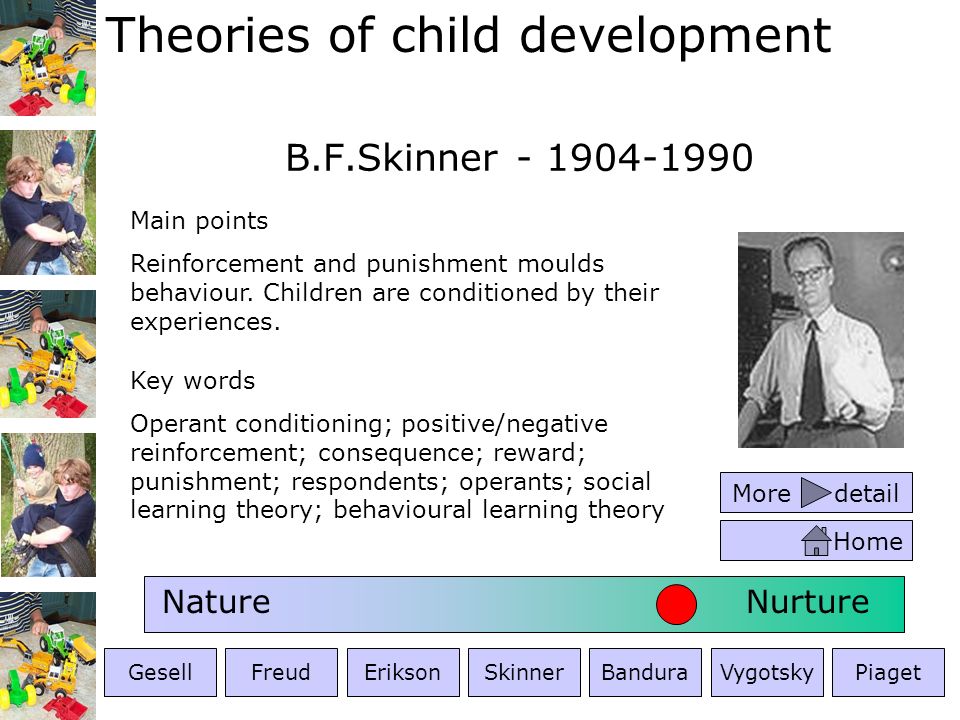 bf skinner child development