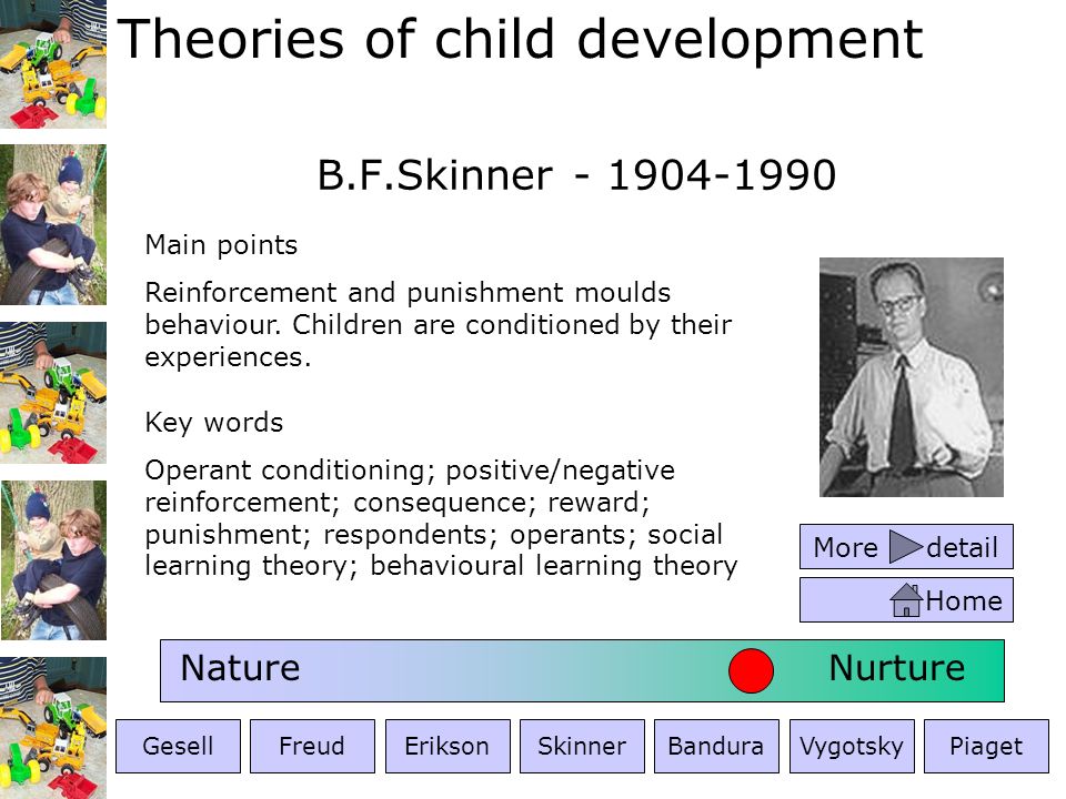 burrhus skinner theory child development