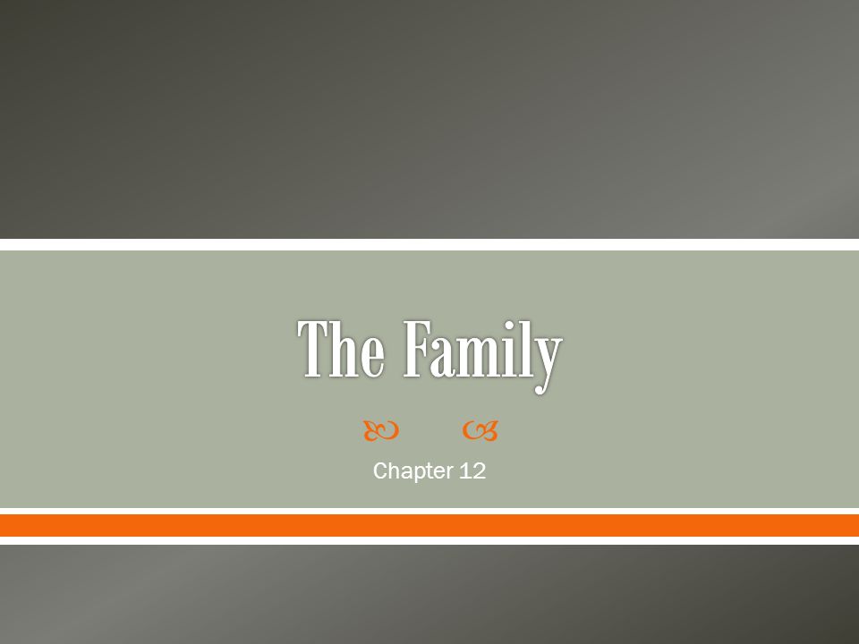 The Family Chapter 12