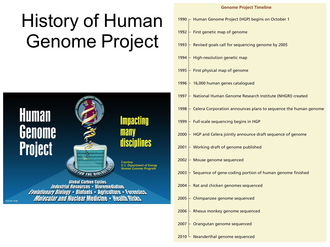 History of Human Genome Project