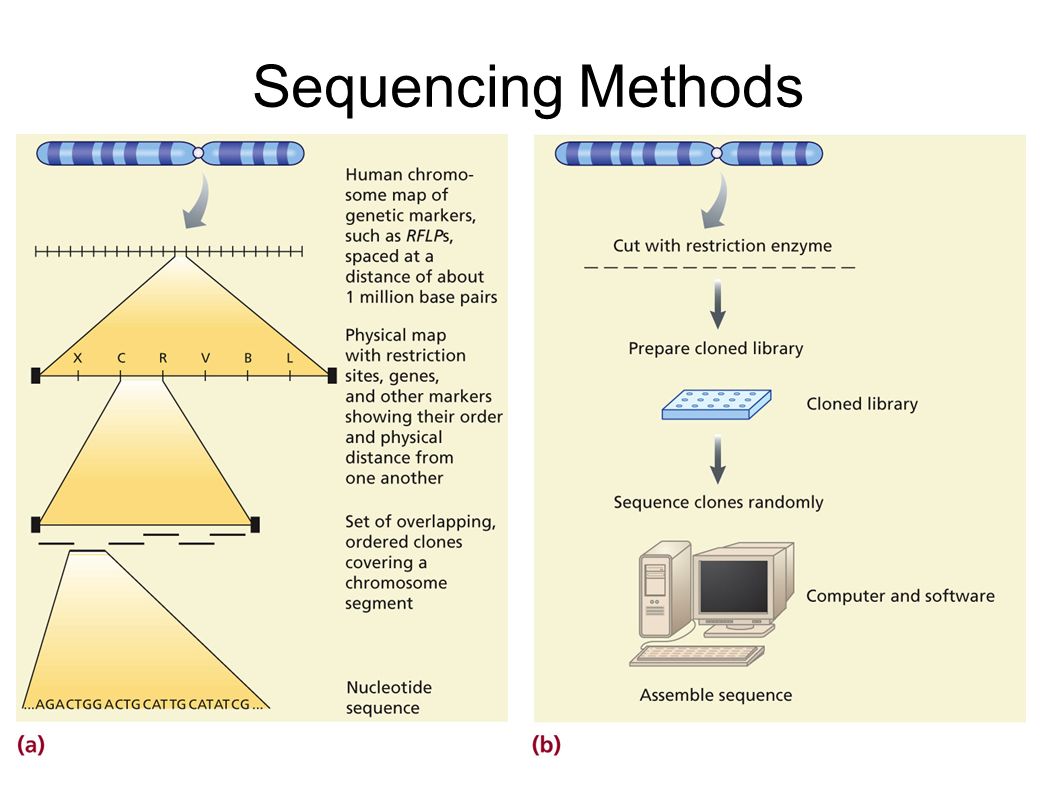 Sequencing Methods