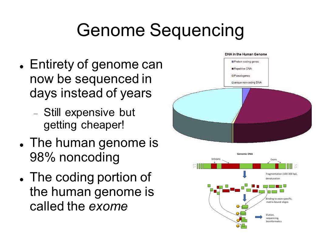 Genome Sequencing Entirety of genome can now be sequenced in days instead of years. Still expensive but getting cheaper!