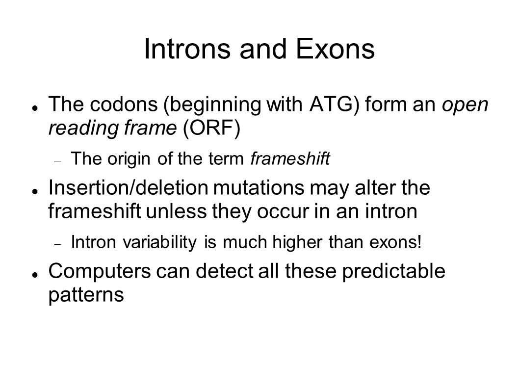 Introns and Exons The codons (beginning with ATG) form an open reading frame (ORF) The origin of the term frameshift.