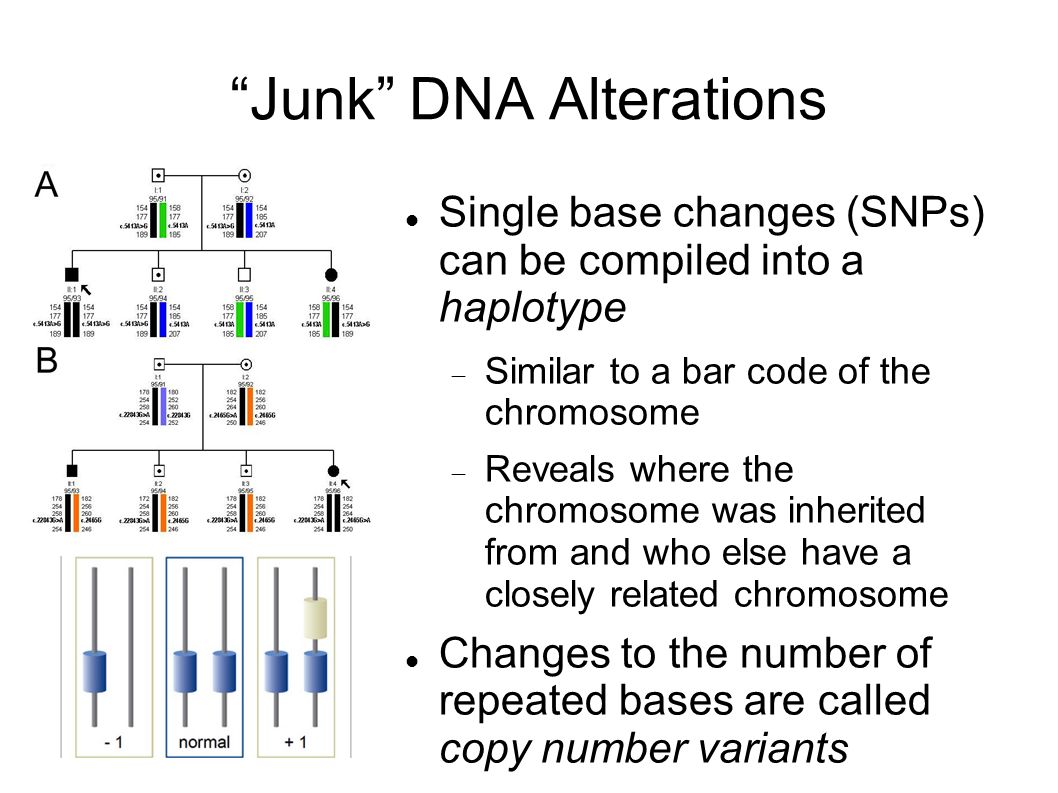 Junk DNA Alterations