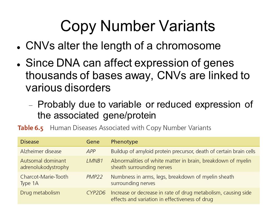 Copy Number Variants CNVs alter the length of a chromosome