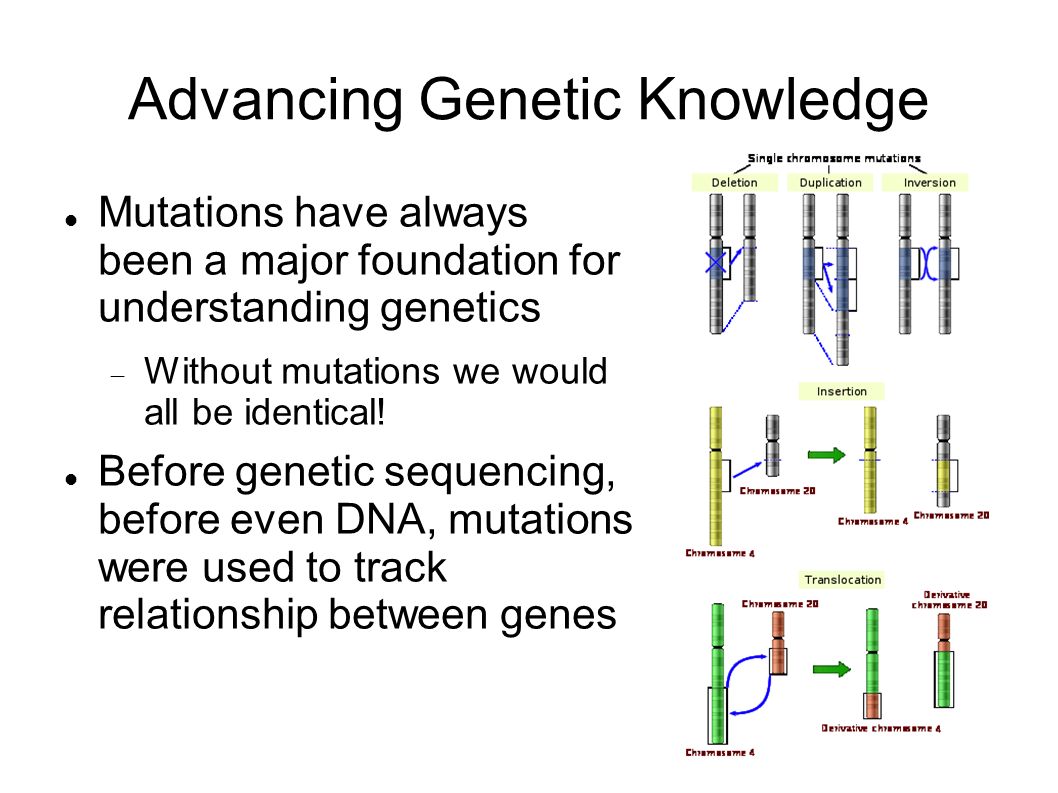 Advancing Genetic Knowledge