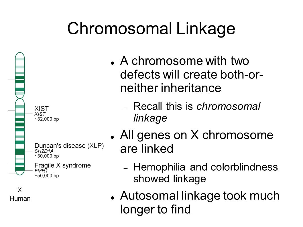 Chromosomal Linkage A chromosome with two defects will create both-or- neither inheritance. Recall this is chromosomal linkage.