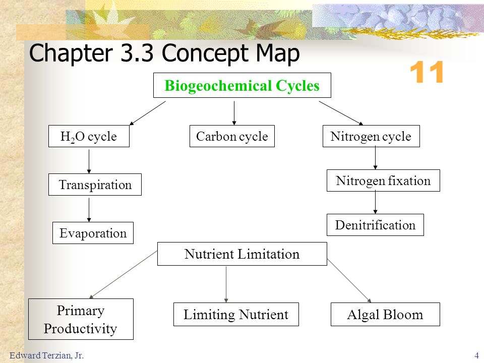 Chapter 3 The Biosphere Ppt Video Online Download