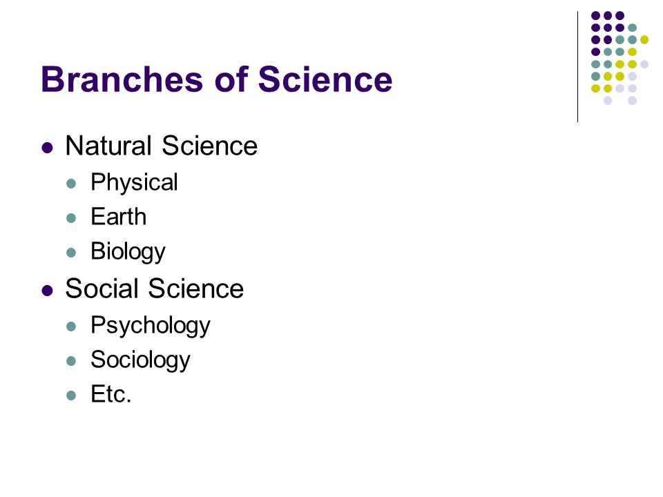 Branches of Science Natural Science Social Science Physical Earth
