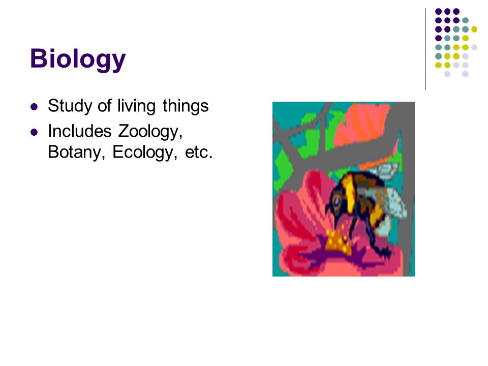 Biology Study of living things Includes Zoology, Botany, Ecology, etc.