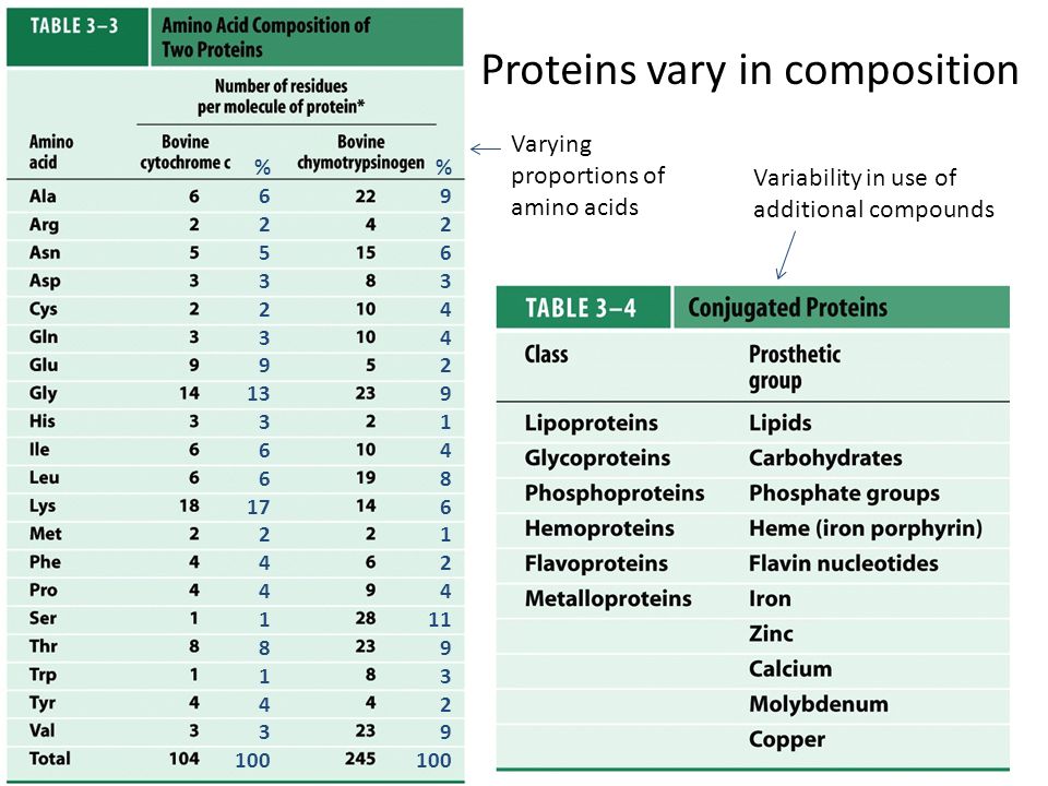 Proteins vary in composition