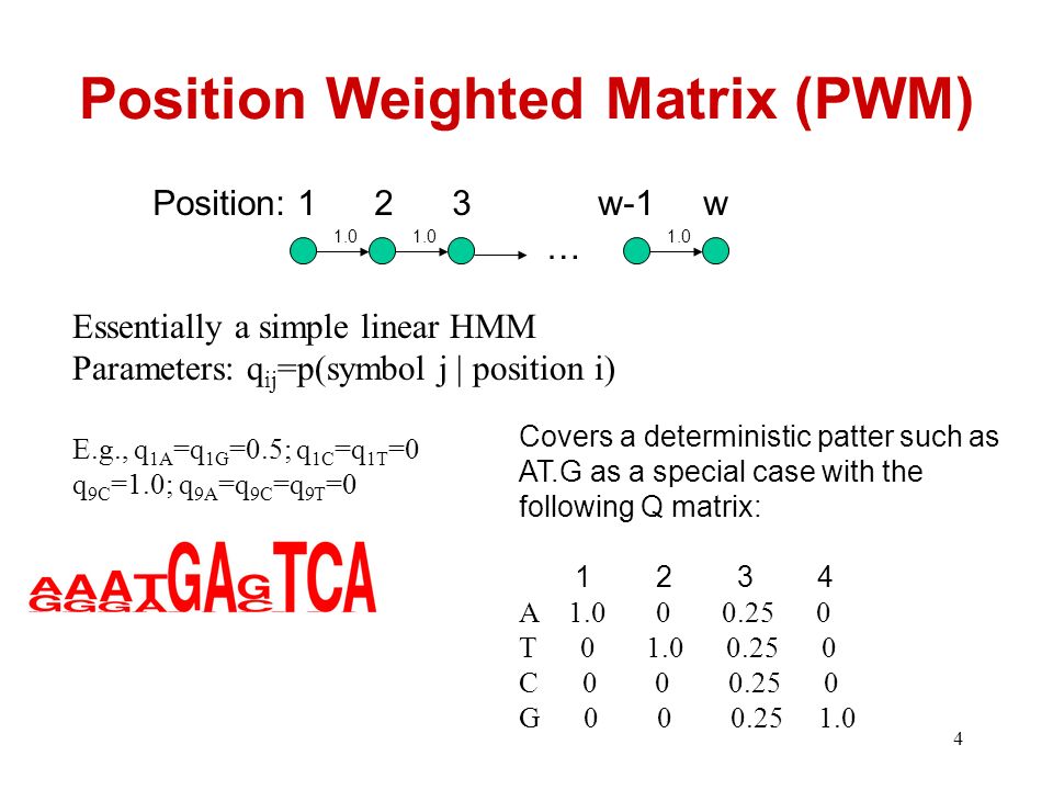 Position Weighted Matrix (PWM)