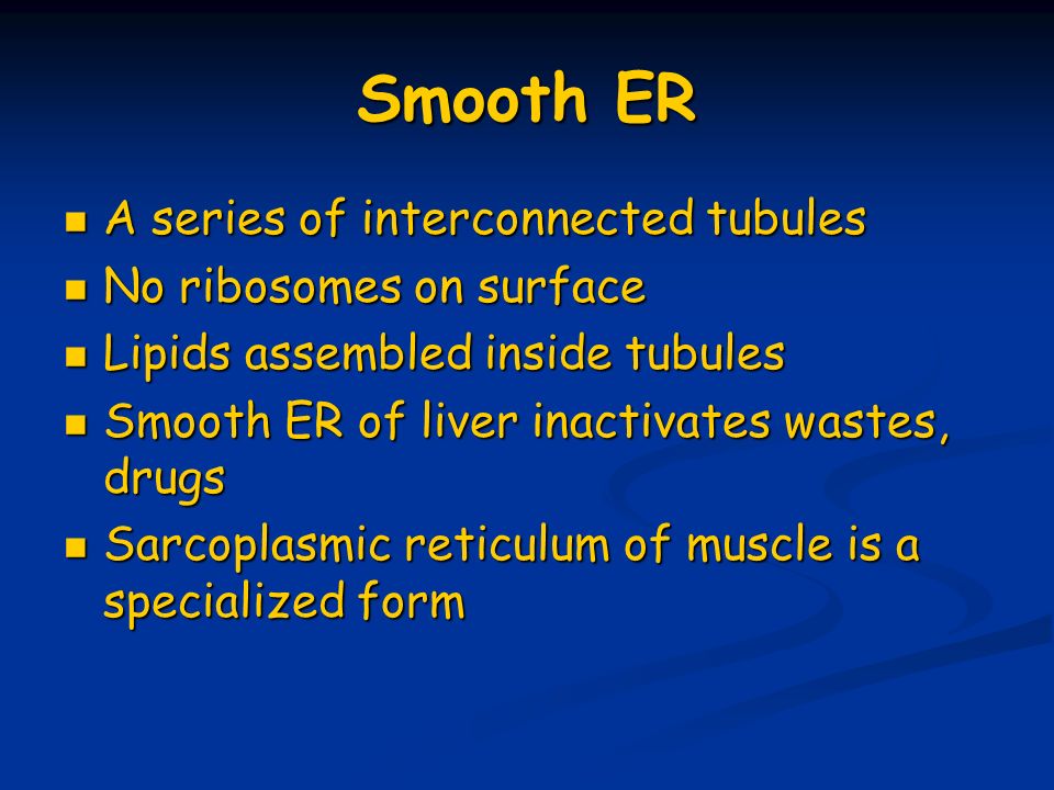 Smooth ER A series of interconnected tubules No ribosomes on surface