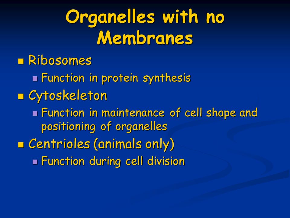 Organelles with no Membranes