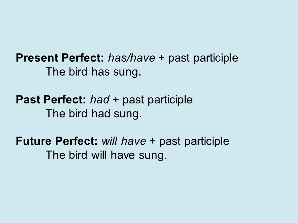 Present Perfect: has/have + past participle