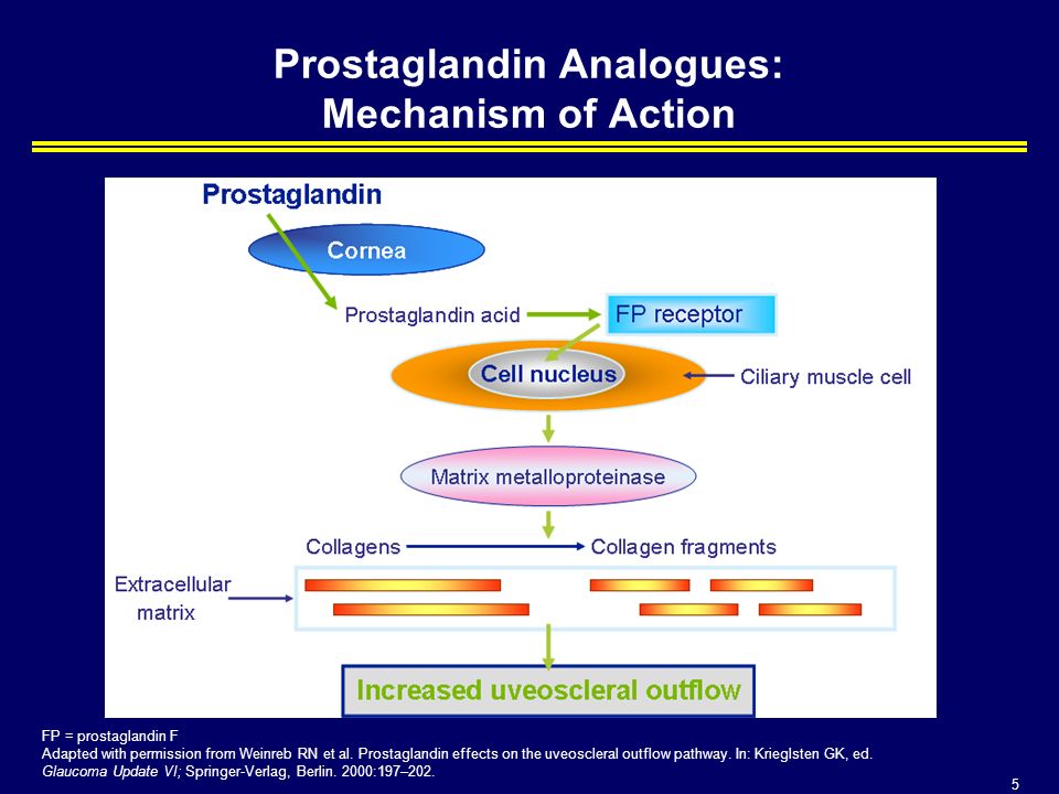 Mechanism of action. Mechanism of Action of prostaglandins. Prostaglandin mechanism. Lorcaserin mechanism of Action. Prostaglandin mechanism sintesis.