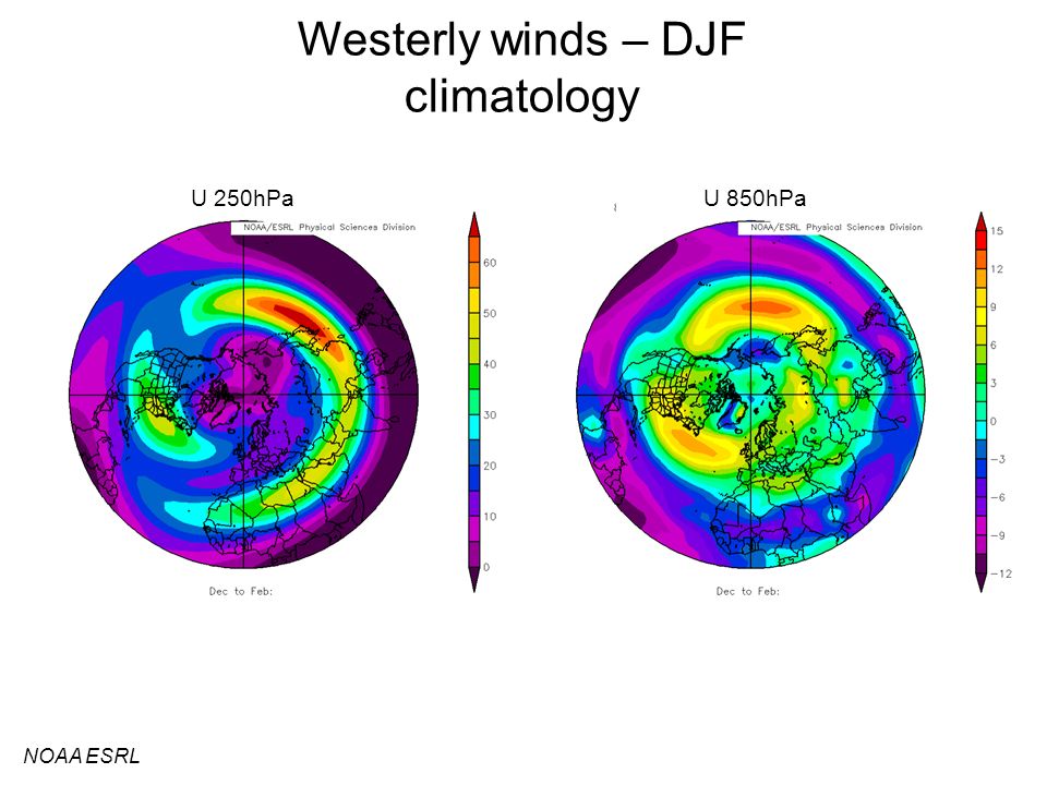 Westerly winds – DJF climatology